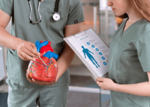 optimizing guideline directed medical therapies for heart failure